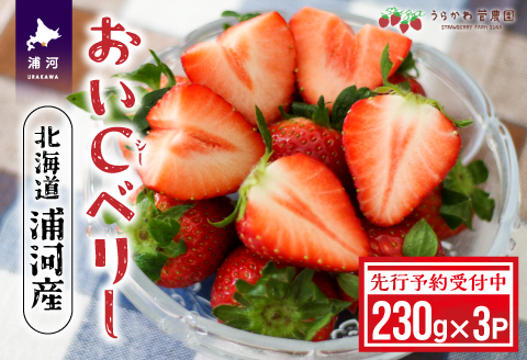 【先行受付開始！】北海道浦河産いちご「おいCベリー」230g×3P[13-1127]