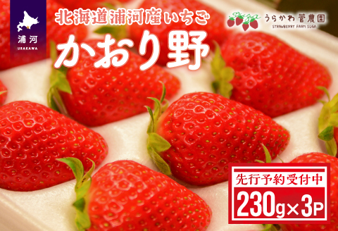 【先行受付開始！】北海道浦河産いちご「かおり野」230g×3P[13-113]