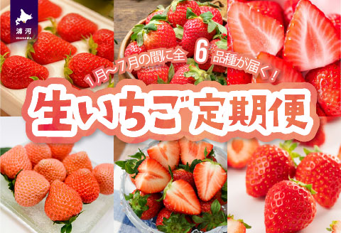 【来年1月より発送！】全6品種が届く！生いちご定期便(全6回)[13-1130]