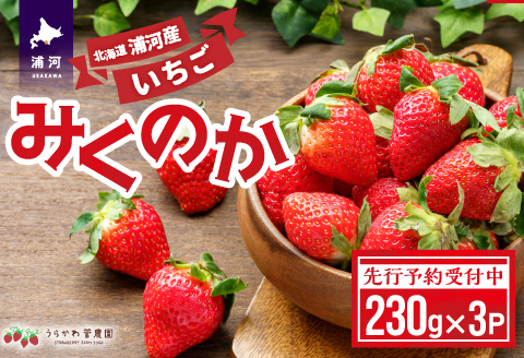 【先行受付開始！】北海道浦河産いちご「みくのか」230g×3P[13-1430]