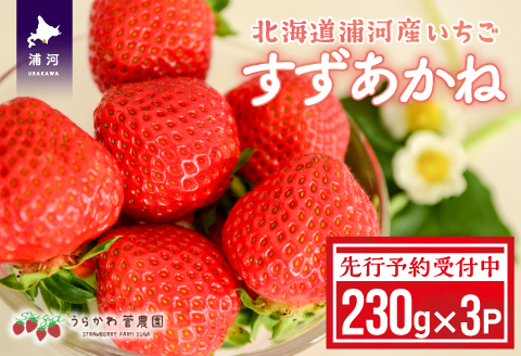 【先行予約受付中】北海道浦河産 夏いちご 「すずあかね」230g×3P[13-150]
