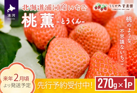 【先行受付開始！】北海道浦河産いちご「桃薫」270g×1P[13-279]