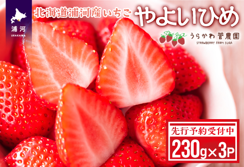 【先行受付開始！】北海道浦河産いちご「やよいひめ」230g×3P[13-883]