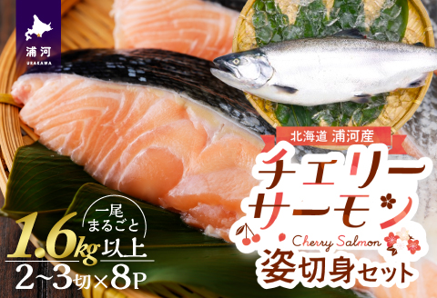 漁吉丸の船上活〆チェリーサーモン姿切身 甘塩仕立て(1.6kg以上)[15-1403]