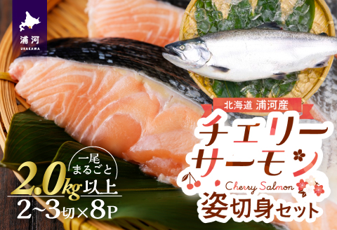 漁吉丸の船上活〆チェリーサーモン姿切身 甘塩仕立て(2.0kg以上)[15-1404]