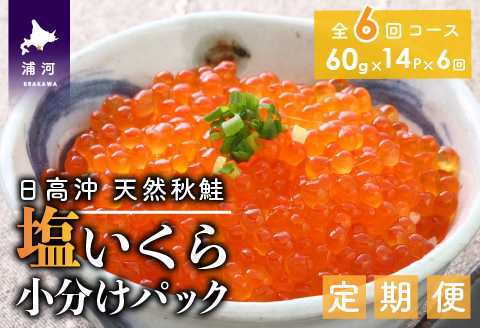 【時鮭スモークサーモン付】北海道日高産 塩いくら小分けパック(60g×14)【全6回定期便】[15-851]