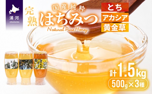 国産純粋完熟はちみつ3種セット(とち・アカシア・黄金草)ご家庭用計1.5kg[16-1053]