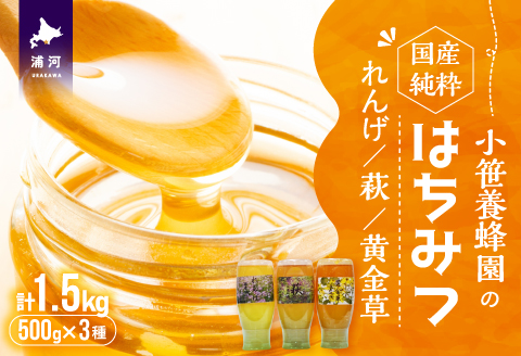 国産純粋完熟はちみつ3種セット(れんげ･萩･黄金草)ご家庭用計1.5kg[16-1158]