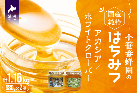国産純粋完熟はちみつ大瓶セット(アカシア・ホワイトクローバー)580g×2本[16-1524]