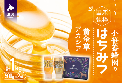 国産純粋完熟はちみつ2種セット(黄金草･アカシア)ご家庭用計1kg[16-1525]