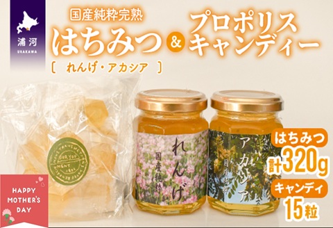 【母の日対応】国産純粋完熟はちみつ小瓶(れんげ・アカシア)＆プロポリスキャンディーセット[16-1579]