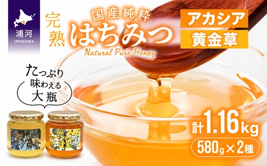 国産純粋完熟はちみつ大瓶セット(アカシア・黄金草)580g×2本[16-1658]