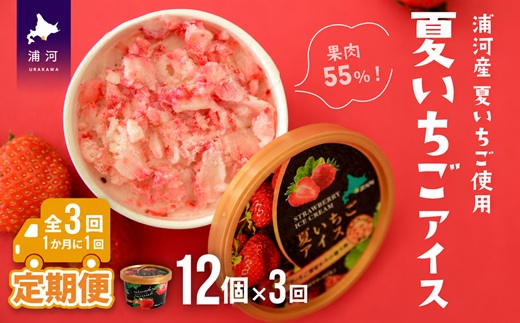 果肉55%「夏いちごアイス(12個)」【全3回定期便】[22-1142]