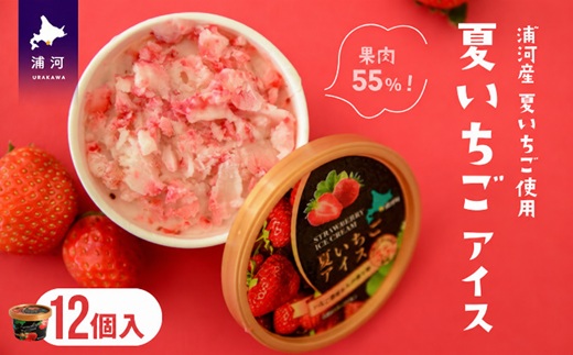 果肉55%「夏いちごアイス(12個)」[22-237]