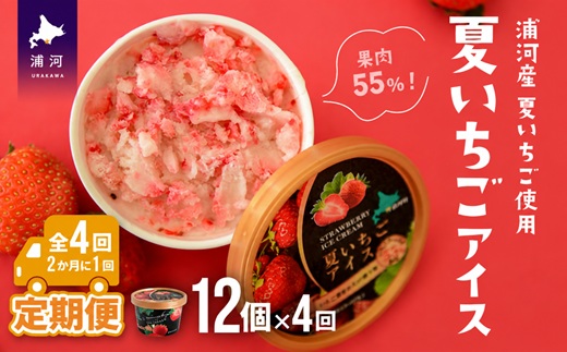果肉55%「夏いちごアイス(12個)」【全4回定期便】[22-999]