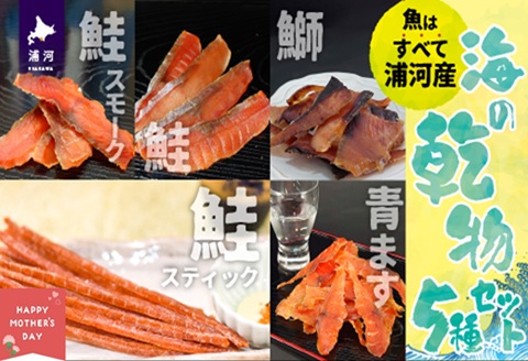 【母の日対応】北海道日高産 海鮮乾物5種セット[25-1459]
