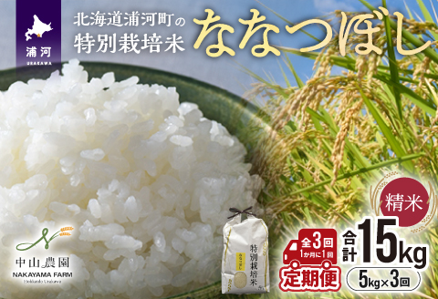浦河の特別栽培米「ななつぼし」精米(5kg×1袋)定期便(全3回)[37-1489]