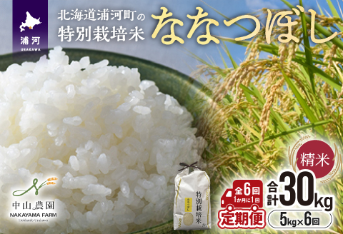 浦河の特別栽培米「ななつぼし」精米(5kg×1袋)定期便(全6回)[37-1490]