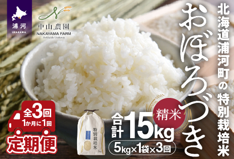 北海道浦河町の特別栽培米「おぼろづき」精米(5kg×1袋)定期便(全3回)[37-1491]
