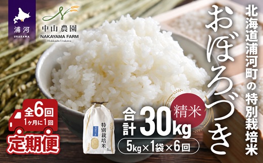 北海道浦河町の特別栽培米「おぼろづき」精米(5kg×1袋)定期便(全6回)[37-1492]