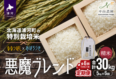 北海道浦河町の特別栽培米「悪魔ブレンド」精米(5kg×1袋)定期便(全6回)[37-1497]