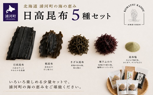 浦河町の海の恵み 日高昆布5種セット[48-1644]