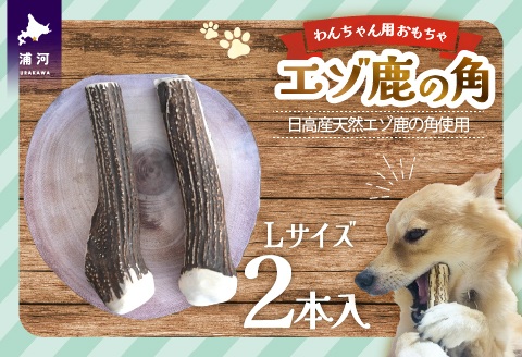 エゾ鹿の角 Lサイズ×2本セット(1本物)[54-1533]