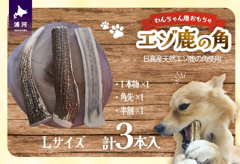 エゾ鹿の角　Lサイズよくばりセット(1本物・角先・半割)[54-1575]