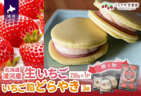 【母の日対応】北海道浦河産「生いちご」＆「どらやき」ギフトセット[13-1212]