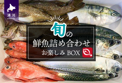 『キンキ入り』漁協厳選！鮮魚お楽しみBOX※不在日・日付指定対応不可※[02-830]