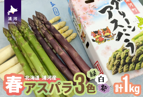 【4月上旬頃より発送！】北海道浦河産 アスパラガス3色食べ比べセット(1kg)[03-133]
