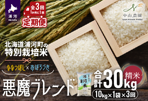 北海道浦河町の特別栽培米「悪魔ブレンド」精米(10kg×1袋)定期便(全3回)[37-1222]