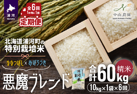 北海道浦河町の特別栽培米「悪魔ブレンド」精米(10kg×1袋)定期便(全6回)[37-1223]