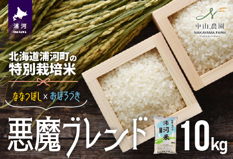 【新米発送！】北海道浦河町の特別栽培米「悪魔ブレンド」精米(10kg×1袋)[37-1224]