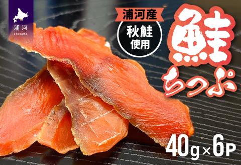 北海道日高産 さけちっぷ(40g×6P)[25-1290]