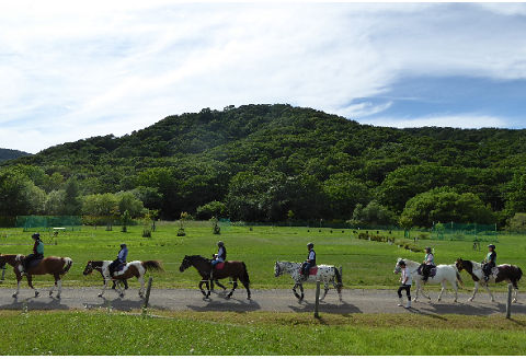 乗馬招待券45分×2枚(初心者コース)[07-092]
