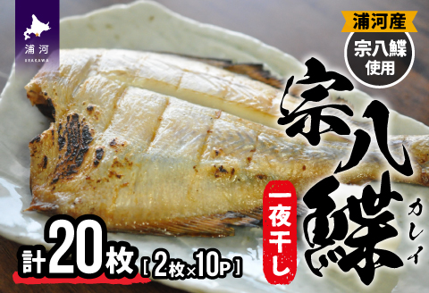 北海道日高産 宗八鰈一夜干し(計20枚)[25-1300]