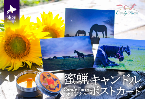 天然蜜蝋100%手作り「キャンドル」＆馬たちの「ポストカード」セット[39-1122]
