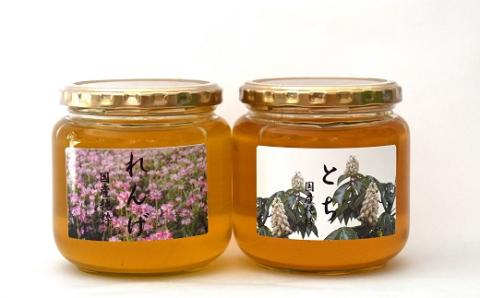 国産純粋完熟はちみつ大瓶セット(れんげ・とち)580g×2本[16-832]