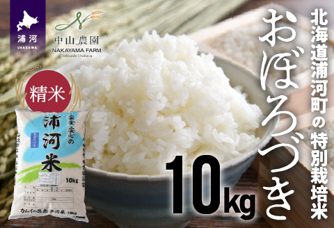 【新米発送！】北海道浦河町の特別栽培米「おぼろづき」精米(10kg×1袋)[37-1133]