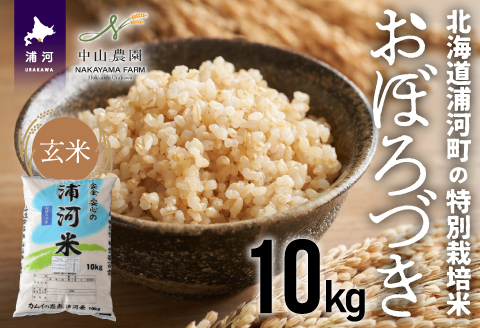 北海道浦河町の特別栽培米「おぼろづき」玄米(10kg×1袋)[37-1146]