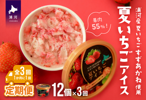 果肉55%「夏いちごアイス(12個)」【全3回定期便】[22-1142]