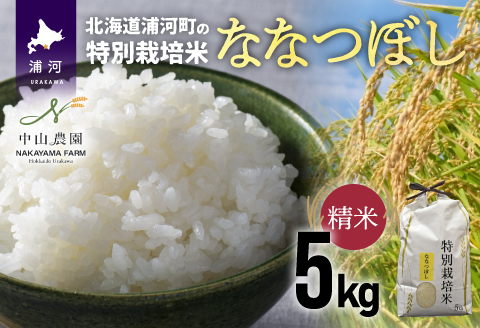 【新米発送！】浦河の特別栽培米「ななつぼし」精米(5kg×1袋)[37-1065]