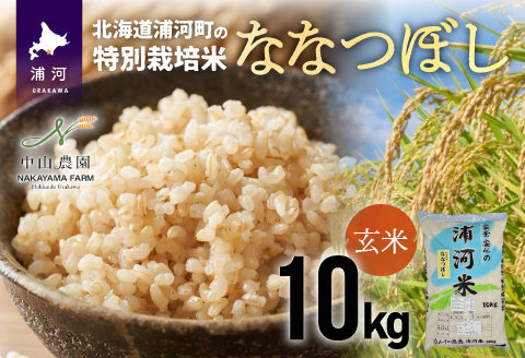 令和5年産】浦河の特別栽培米「ななつぼし」玄米(10kg×1袋)[37-1027