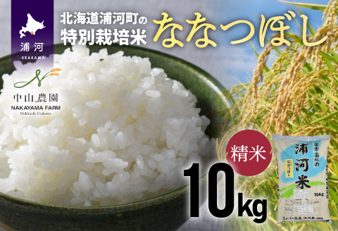 【新米発送！】浦河の特別栽培米「ななつぼし」精米(10kg×1袋)[37-1026]