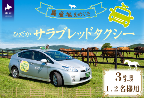 馬産地をめぐる「ひだかサラブレッドタクシー」3時間(1,2名様)コース[41-1102]