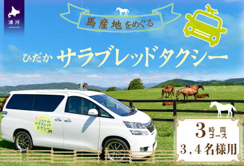 馬産地をめぐる「ひだかサラブレッドタクシー」3時間(3,4名様)コース[41-1103]