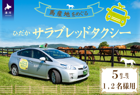 馬産地をめぐる「ひだかサラブレッドタクシー」5時間(1,2名様)コース[41-1104]