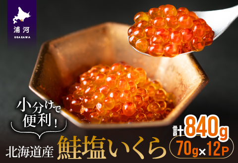 小分けで便利！鮭塩いくら(70g×12)[02-1062]