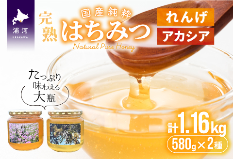 国産純粋完熟はちみつ大瓶セット(れんげ・アカシア)580g×2本[16-537]